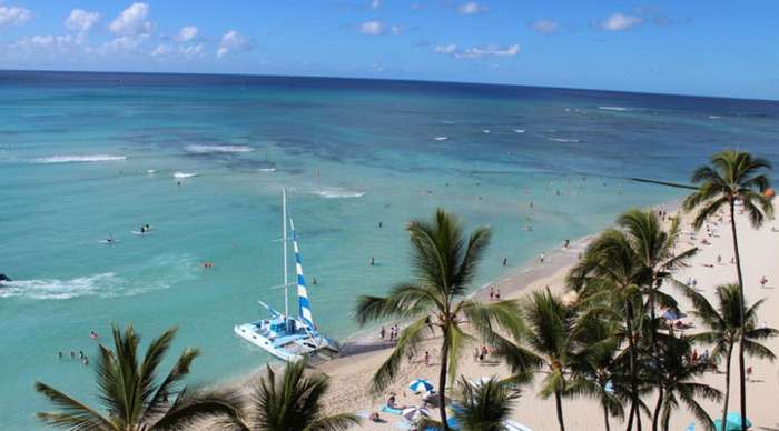 coconut-waikiki-lagoon_4