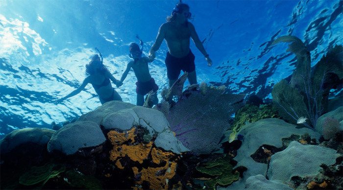 coral-rock-snorkeling_4