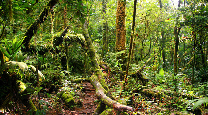 costarica.rioceleste_4