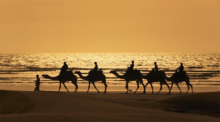 dubai-camels-sunset_4-22