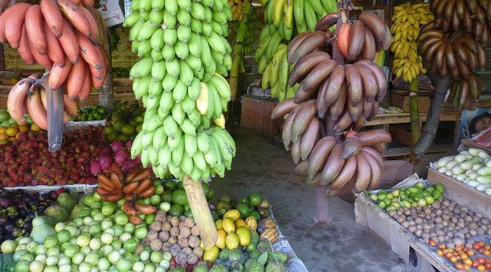 feelin-good-fruit-sri-lanka_4