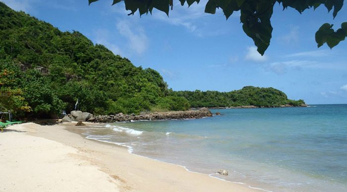 flower-garden-beach-jungle-sri-lanka-unawatuna_4-2