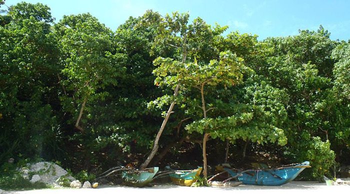 flower-garden-sri-lanka-jungle-beach_4-2