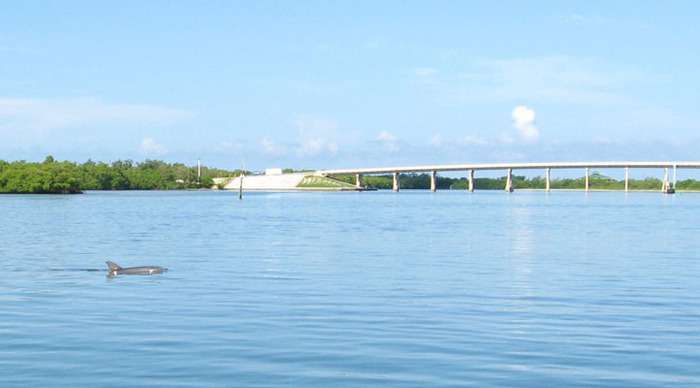 fort-myers-bridge_4