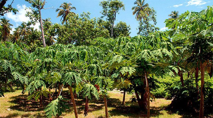 fregate-interior-seychelles_4-2