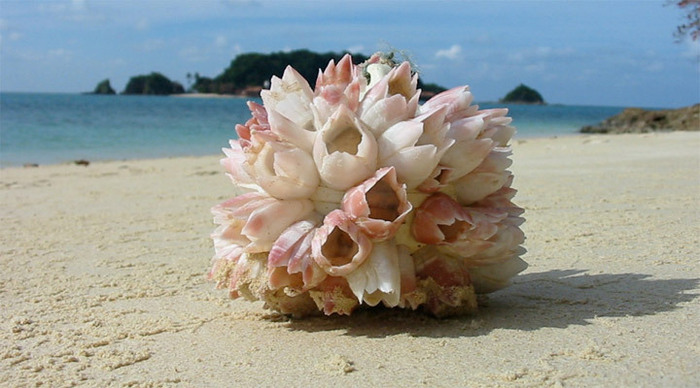 gem-wellness-flower-beach-m_4