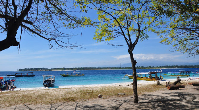 gili-trawangan-trees-indone_4-2