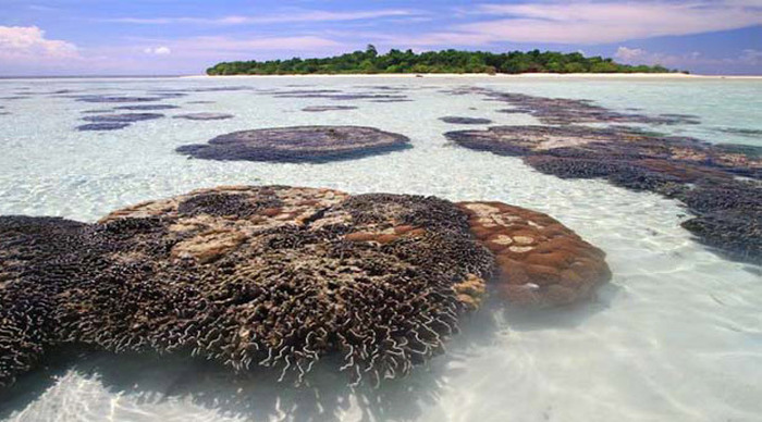 kalimantan-sandfloor_4-1