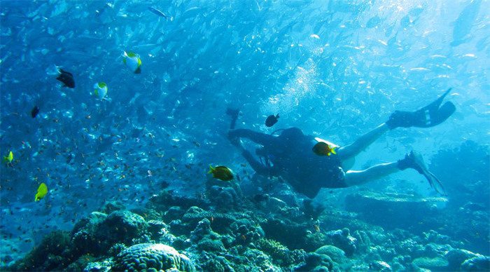 kapalai-diving-fish-borneo-_4