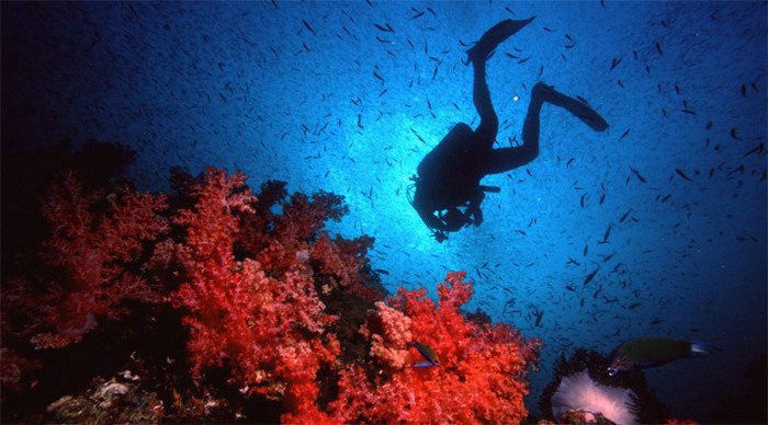 koh-lipe-diving-thailand_4-3