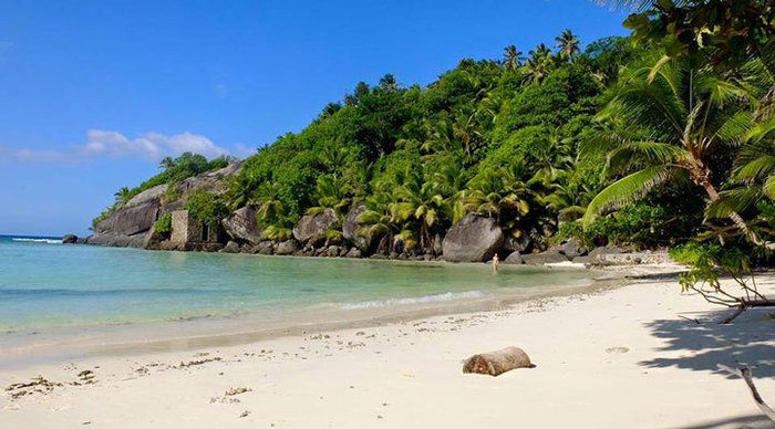 la-belle-tortue-silhouette-beach-seychelles-seychellerna-1_4-2