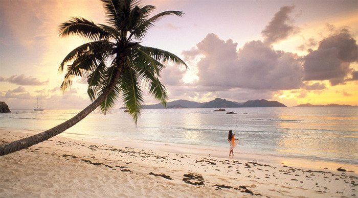 la-digue-palms-seychelles_4-1