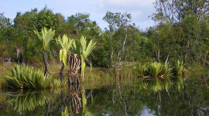 madagaskar-canal_4-1