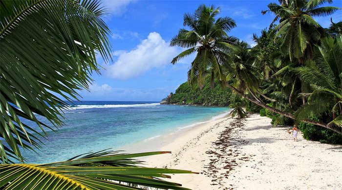 mahe-beach-seychelles-coral_4-11