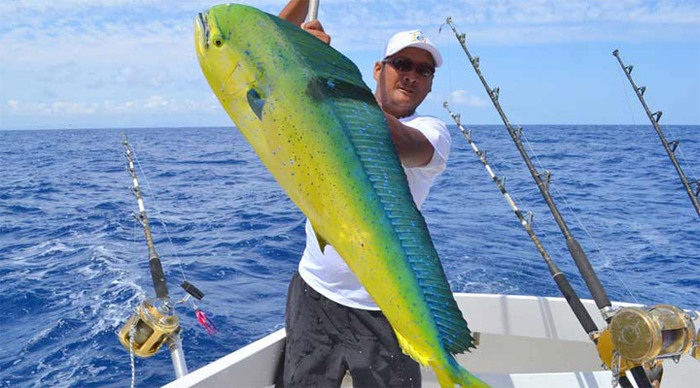 mauritius-fishing-dolphin_4-1