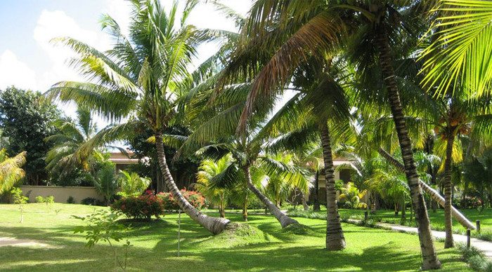 mauritius-lemaurica-garden_4