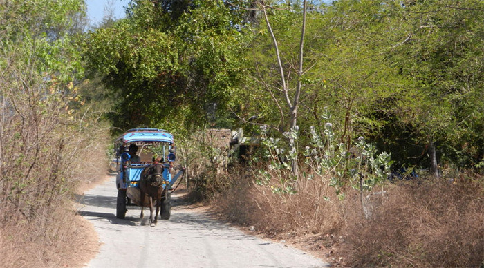 meno-gili-transport-indones_4-5