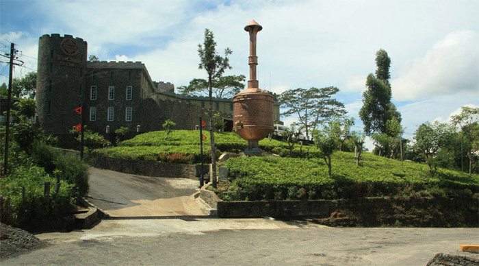 nuwara-eliya-tea-sri-lanka_4