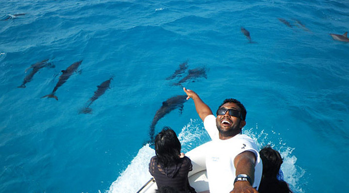 olhuveli-dolphin-maldives_4