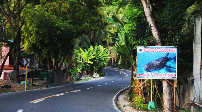 oslob-seafari-road_4-1