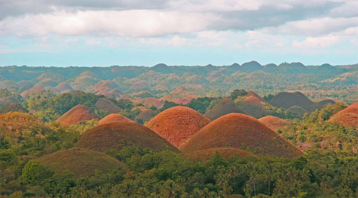 panglao-bohol-chocolate-hil_4-1