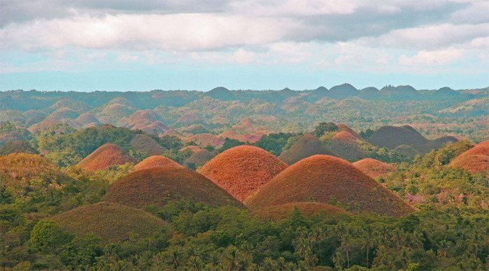 panglao-bohol-chocolate-hil_4