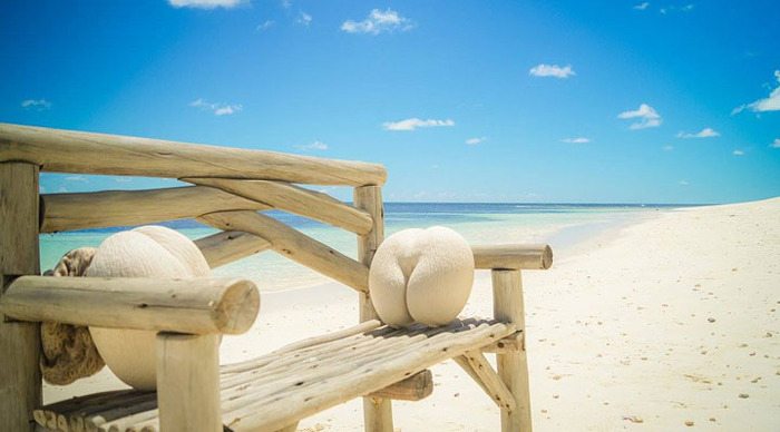 paradise-flycather-lodge-la-digue-beachchair_4