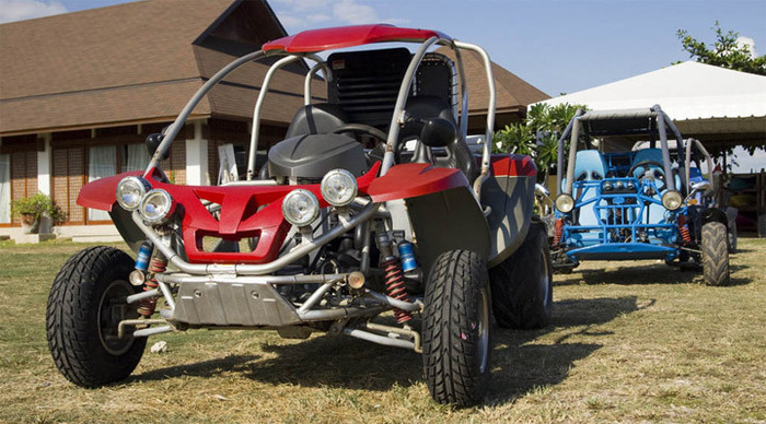 peacock-garden-buggy-tour-b_4-3