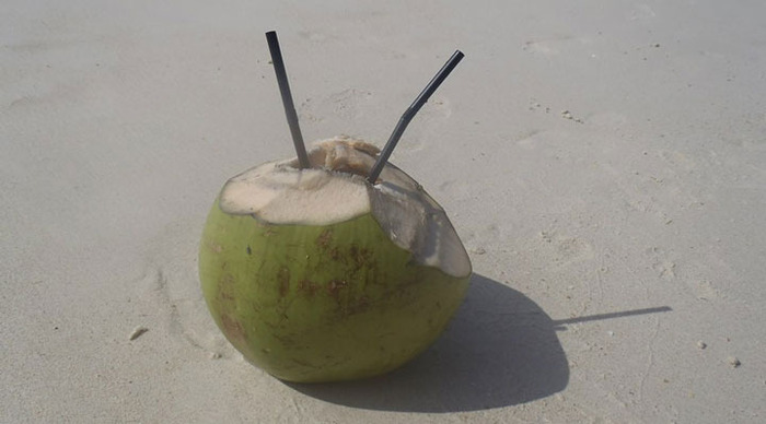 perhentian-bubu-coconut-malaysia_4