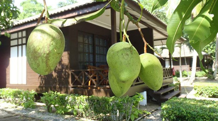 perhentian-island-resort-chalet_4-1