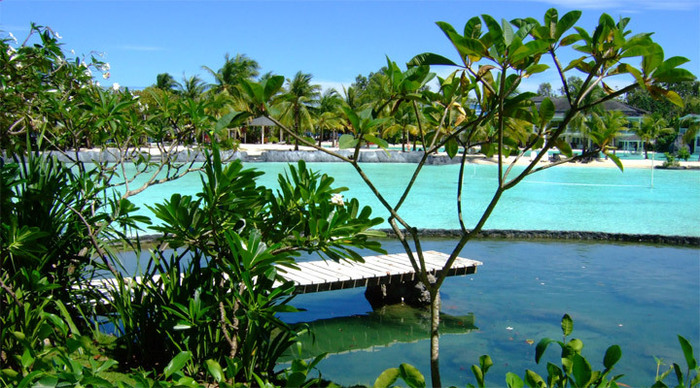 plantation-bay-greenery-ceb_4