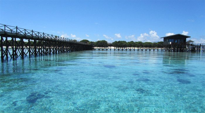 pom-pom-borneo-bridge_4