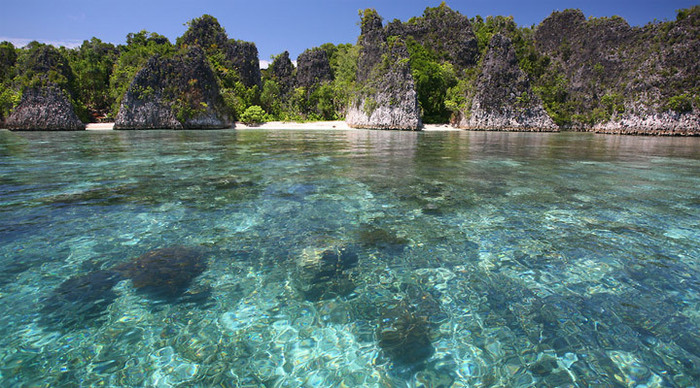 raja-ampat-corals-indonesia_4