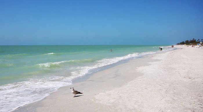 sanibel-beachess_4