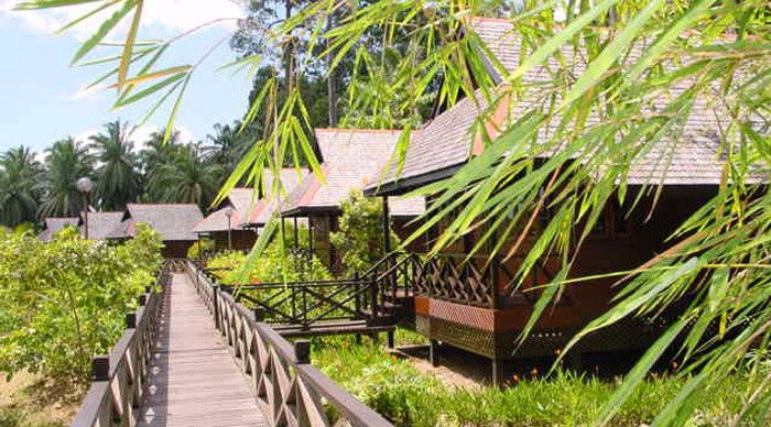 sepilok-nature-resort-bridg_4