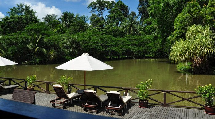 sepilok-nature-resort-deck-_4-1