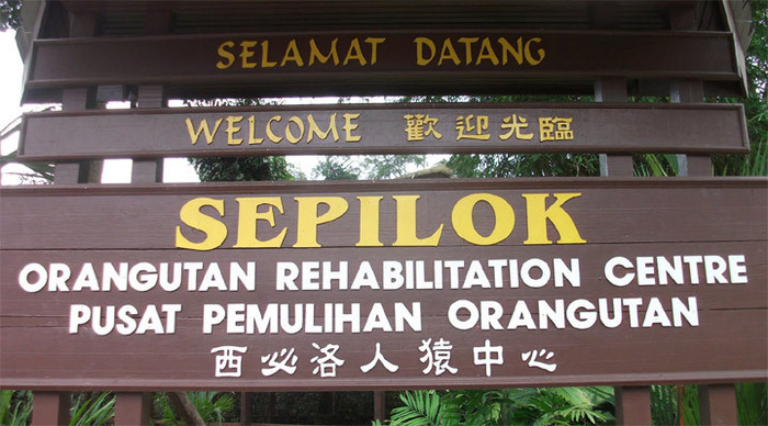 sepilok-signs-1_4-1