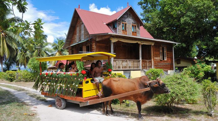 seychellerna-la-digue-wedding-oxcart_4-1