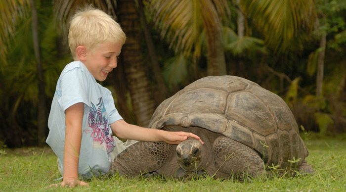 seychellerna-mahe-praslin-turtle_4