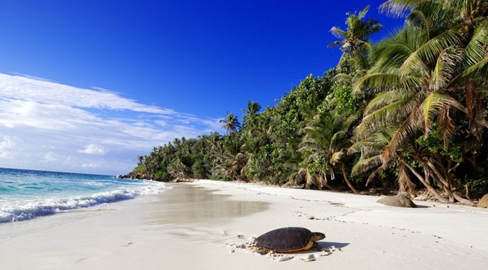 seychellerna-water-waves-praslin_4-1