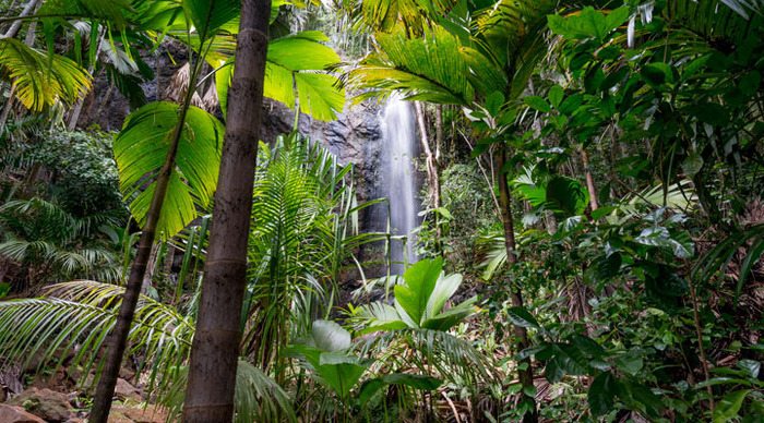 seychellerna-waterfall-praslin-mahe_4-10