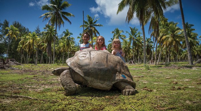 seychelles-desroches-island-giant-turtle_4