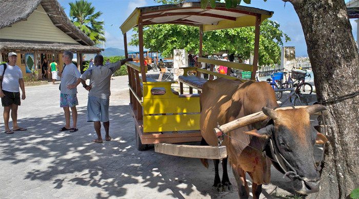 seychelles-la-digue-oxcart-_4-3