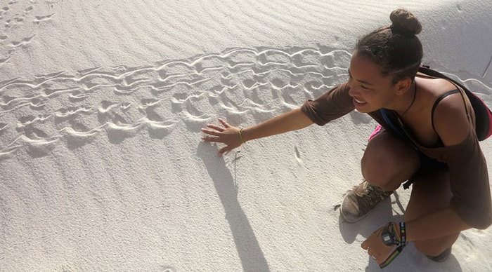 seychelles-turtle-tracks-aldabra-seychellerna_4-4