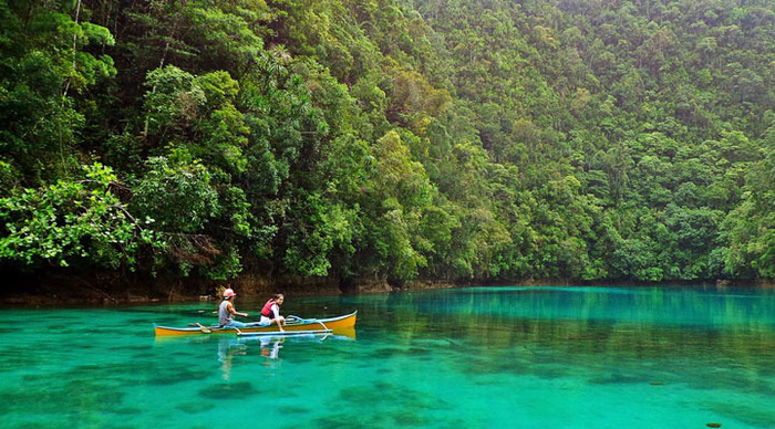 siargao-trees_4