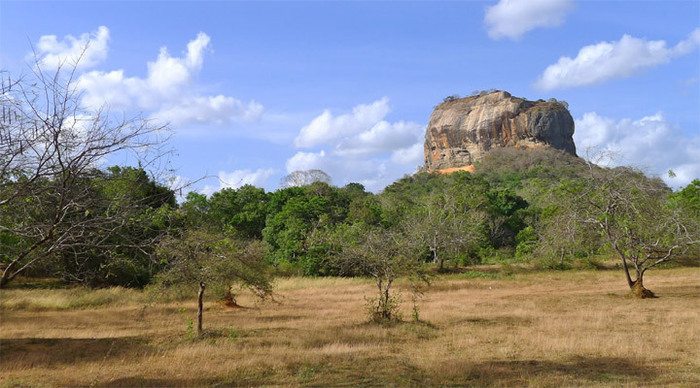 sigiriya-jungle-sri-lanka_4-3