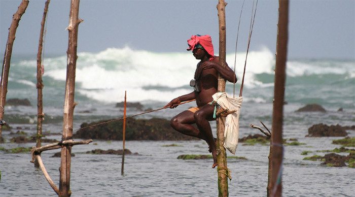 sri-lanka-club-palm-fisherm_4-2