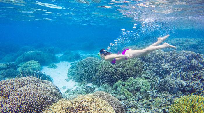 sumilon-bluewater-snorkeling_4-1