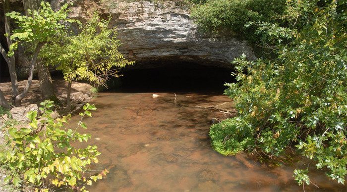 taman-negara-water-malaysia_4