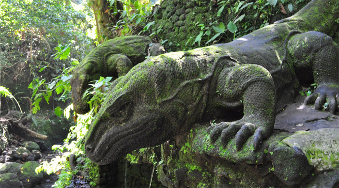 ubud-bali-komodo-dragon-for_4-1